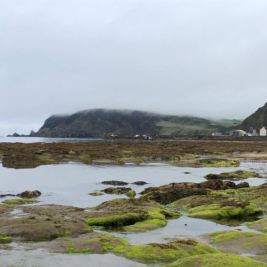 Villa Puffins Nest à Gardenstown Extérieur photo